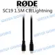 RODE SC19 USB Type-C to Lightning 連接線 麥克風 NTG 公司貨【中壢NOVA-水世界】【APP下單4%點數回饋】