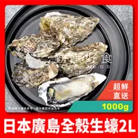 在飛比找蝦皮商城精選優惠-【勤饌好食】日本 廣島 全殼 生蠔 2L (1000g±10