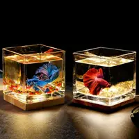 在飛比找樂天市場購物網優惠-超白加厚方形玻璃魚缸客廳辦公桌面創意生態小型斗魚缸夜燈迷你缸