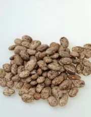 PINTO BEANS 2Kg - High Quality