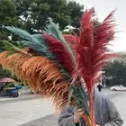 Large Dried Flowers Pampas Grass Tall Boho Home Decor Floral Wedding Room Decor