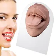 Silicone Tongue,Flexible Silicone Tongue Mouth Model with Stand | Simulation Human Body Part for Piercing Practice and Jewelry Display Teaching Tool Xiaoxin