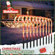 10 Piece Christmas Candy Cane Christmas Pathway Light Outdoor Garden Decoration