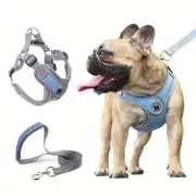Reflective Dog Harness and Leash Set - Medium / Sky Blue