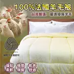 100%法國羊毛被/單人尺寸【國際羊毛局認證】優質羊毛、吸濕蓄熱、保暖不悶熱、台灣製造