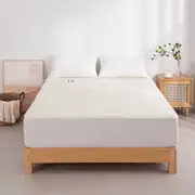 Dreamaker Pinsonic Sherpa Fleece Electric Blanket (Single, King Single, Double, Queen, King)