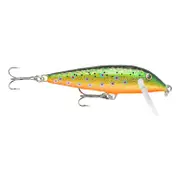 Rapala Countdown Lure Brook Trout