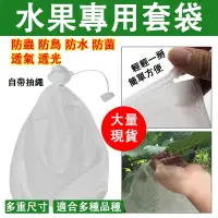 在飛比找蝦皮購物優惠-【園藝】防蟲網 網袋 水果套袋 水果網袋 防蟲網袋 果蠅 防