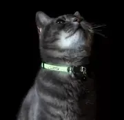 Rogz Cat Collar Glow In the Dark and Reflective with Breakaway Safety Buckle