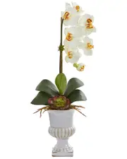 Nearly Natural Phalaenopsis Orchid & Succulent Artificial Arrangement in Urn