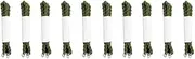 [Milepetus] 10/20pcs Elastic Boot Straps Military Boot Bands Blousing Garters Military Double Twisted Shock Cord Trouser Twist,Green/Black Available