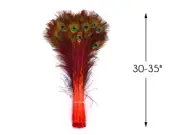 50 Pieces - 30-35" Orange Dyed Natural Long Peacock Tail Eye Wholesale Feathers