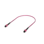 Ubiquiti Indoor OM4 Multi-mode Fiber Patch Cable, 0.5M, Single-pack, With MPO-12 Type B UPC Connectors, Designed For 100G Applications UACC-OFC-MA-MPMP-0.5M