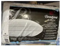 在飛比找Yahoo!奇摩拍賣優惠-《缺貨中》席夢思BeautyRest新包裝黑標頂級枕頭2入