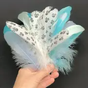 Pirate Goose Nagoire Printed Feather Mix Feather Pack x 20 pcs - Style 19