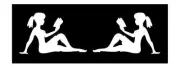 SMART MUDFLAP GIRL Vinyl Decal Sticker CUSTOM