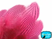 1 Dozen Pink Silver Pheasant Plumage Barred Feathers Fly Tying Jewelry Costume