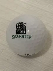 Silvertip Resort Old Vintage Logo Golf Ball Canmore Alberta Canada Collectible