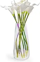 Aoderun Glass Vase for Flowers Modern Vases Home Decor Unique Flower Vase for Bouquet 8.7" Centerpiece Vase Decor Room,Living Room,Library,Office,Table,Entryway,Modern Farmhouse(Iridescent Clear)