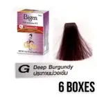 Bigen Permanent Hair Dye Color Powder Dark Burgundy Unisex No Ammonia 6 g x 6
