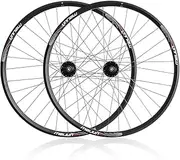 29" 27.5" Mountain Bike Wheel Set Disc Brake MTB Bicycle Wheelset Quick Release Ball Bearing Hubs Aluminium Alloy Double Wall Rims (Color : Black, Size : 29inch)