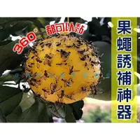 在飛比找樂天市場購物網優惠-@貨比三家不吃虧@果蠅誘補神器 果實蠅誘引黏球 捕蠅膠 園藝