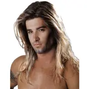Fabio or Thor Brown Bleached Wig - Adult