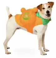 Mickey Mouse Pumpkin Pet Dog Costume Glow-in-Dark Size SMALL Disney Store NEW