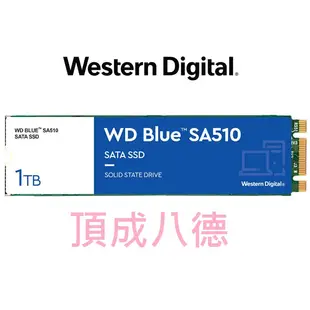 WD 藍標 SA510 500GB 500G 1TB 1T M.2 2280 SATA SSD