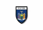 PATCH PATCHES EMBLEM IRON ON GLUE PRINT FLAG world crest usa new york