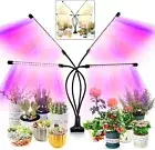 Full Spectrum 80 LED Lamps Lights Sun Light Dimmable Growing Lamp for Indoor Pla