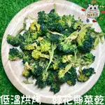 🌻低溫烘烤綠花椰菜乾🐹啾鼠星球🐹倉鼠手作、磨牙、堅果、點心、輔食、三線、黃金、老公公、通心粉...等多種鼠皆可食