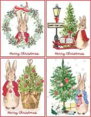 8 PETER RABBIT GLOSSY CHRISTMAS CARDS WITH RED ENVELOPES BLANK INSIDE