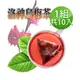 【蔘大王】洛神烏梅茶包X1組（6gX10入/組）促進新陳代謝 開胃 油切解膩 天然快樂人身