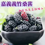 【嘉義義竹】天然桑葚果 6盒(600g/盒)