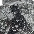 Anda Skin Grade Indochinite Tektite (48.5g) - Rare Collectible Thailand