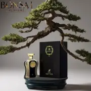 Afnan Highness V Black By Afnan 3.4/3.3 oz Edp Spray For Women New In Box
