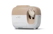 PetSnowy | Snow⁺ Self-Cleaning Litter Box | Wi-Fi Enabled | Automatic Cat Food Dispenser