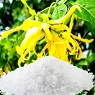 Patchouli & Ylang Ylang Bath Salts/Bath Soak Relaxing Aromatherapy Luxury