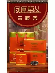 Ancient Tree Single Cluster Tea Chaozhou Phoenix Oolong Tea Strong Aroma Type