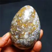 HOT458g Natural Colorful RARE Polished Ocean Jasper Crystal EGG 31A65+