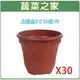 【蔬菜之家005-D121-1】法國盆8寸30個/件 園藝 園藝用品 園藝資材 園藝工具 園藝造景 園藝盆栽 園藝裝飾