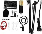 SWOOMEY 11 Pcs Microphone Kit with Bracket High Sound Webcast Devices for Karaoke and Live Broadcast Easy to Install and Use Compatible with Phones and Computers