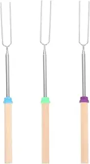 3 Pcs Stainless Steel Barbecue Fork Cooking Fork BBQ Forks for Grilling Marshmallow Roasting Sticks Grilling Sticks Telescoping Smores Sticks Bacon Tongs Turkey Lifter Forks Pp
