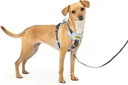 PetSafe Easy Walk Comfort No-Pull Dog Harness Full-Body Padding - Better Walks on 1st Use - 5 Points of Adjustment, XS, Small, Medium & Large Dogs, Blue/Black/Green/Pink