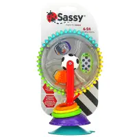 在飛比找iHerb優惠-[iHerb] Sassy 奇跡輪，6-24 個月，1 個