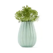 Tulip Glass Vase