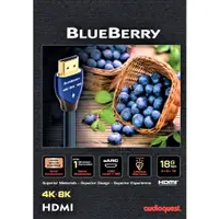 在飛比找蝦皮商城優惠-現貨 AudioQuest 美國 BlueBerry 藍莓 