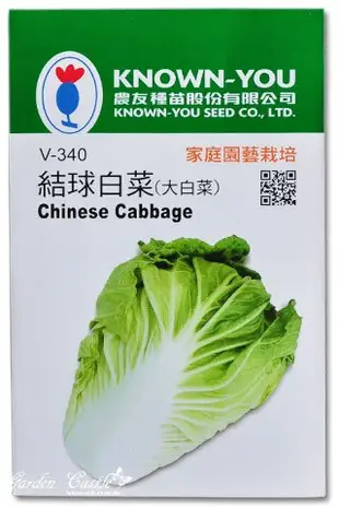 ～全館滿790免運～結球白菜(山東大白菜)~Chinese Cabbage【熊森活】