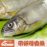 在飛比找PChome24h購物優惠-【日丸水產】宜蘭特選帶卵母香魚2盒(10尾/盒/1Kg)